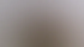 Шел четвертый год войны...