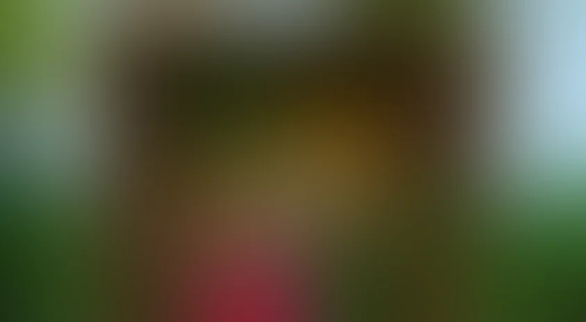 Еще один год