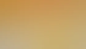 Искатели сокровищ