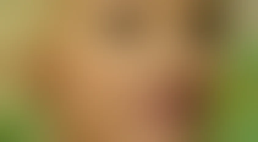 Здравствуй, мама!