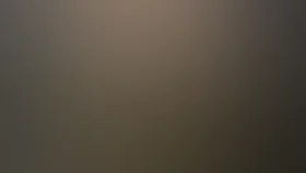 Оплачено смертью