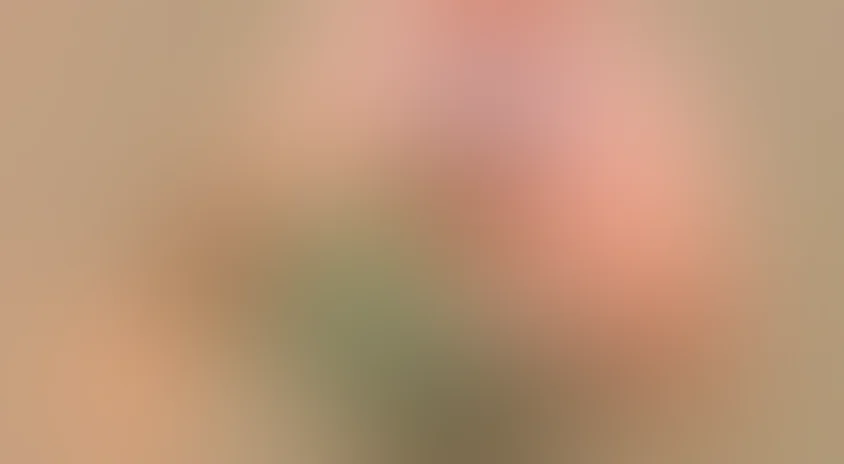 Кто ж такие птички