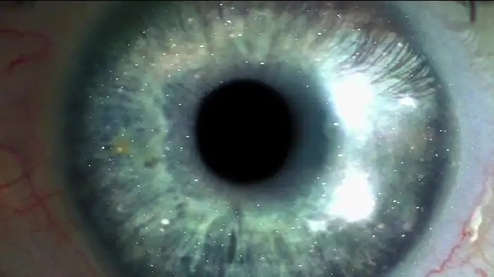 Трейлер (дублированный)