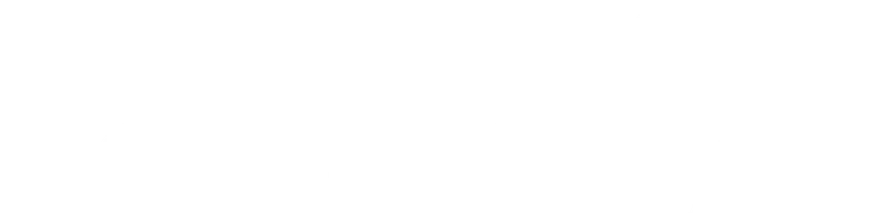 В паутине обмана