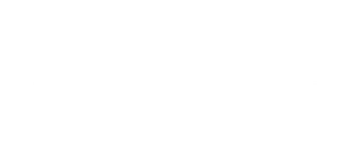 Хроника одной любви