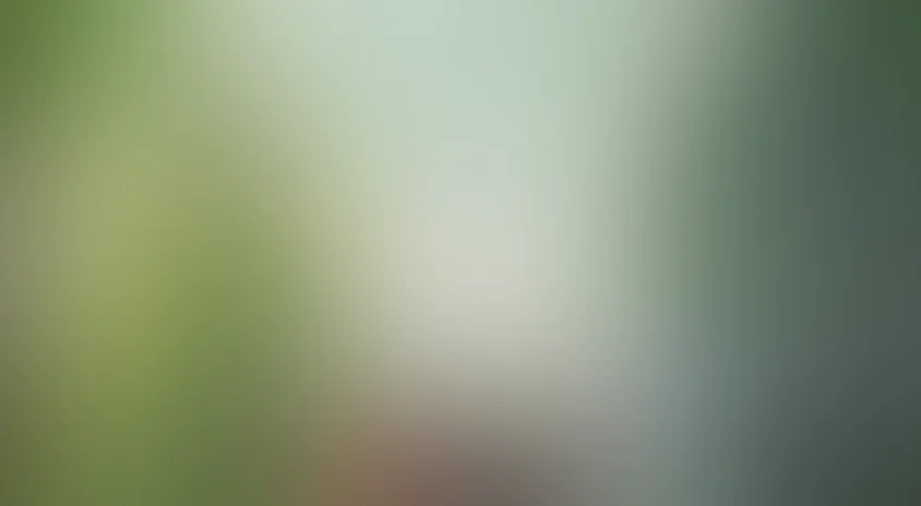 С феями шутки плохи