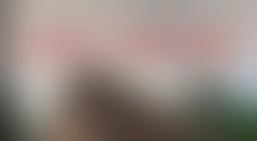 Сезон посадок