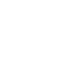 Наше новое кино