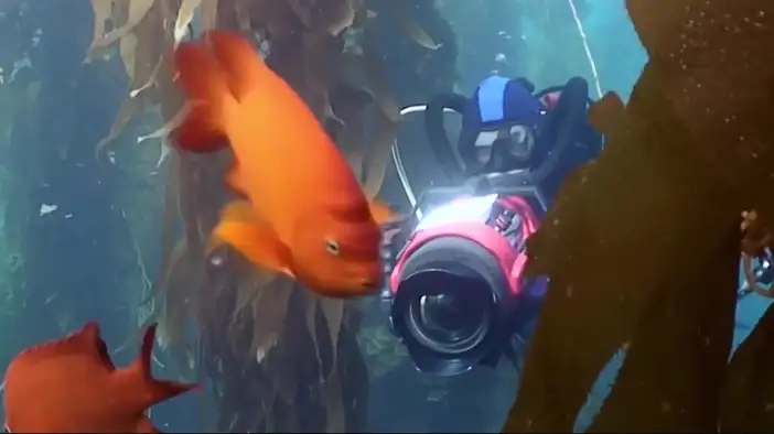 Трейлер (дублированный)