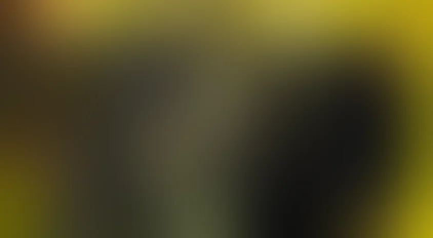 Обратный отсчет (2006)