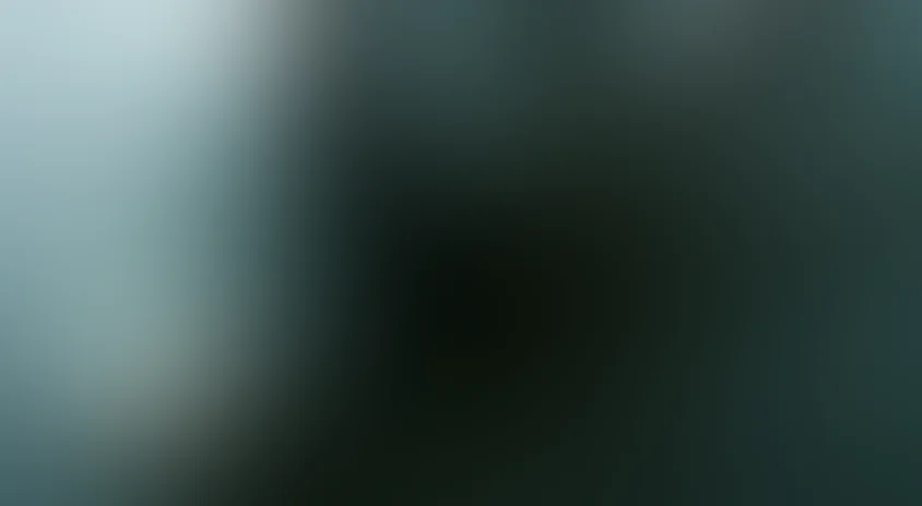 Воспроизведение