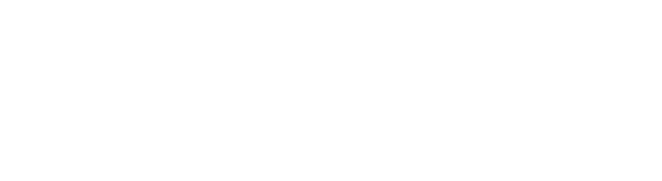 9 1/2 недель