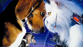 Кошки против собак