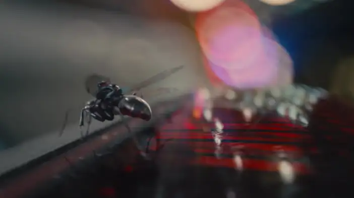 Трейлер (дублированный)