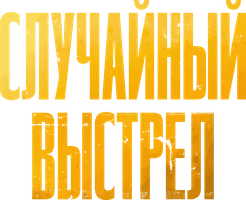 Случайный выстрел