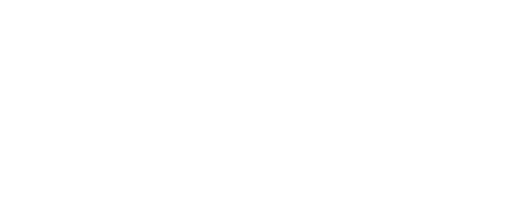 Новогодний рейс