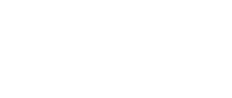 Новогодний рейс