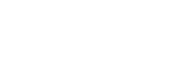 Полиция Парижа. Особый отдел