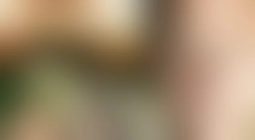 Смех и грех (2011)