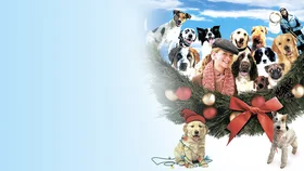 12 рождественских собак
