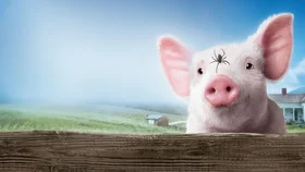 Паутина Шарлотты (Amediateka)