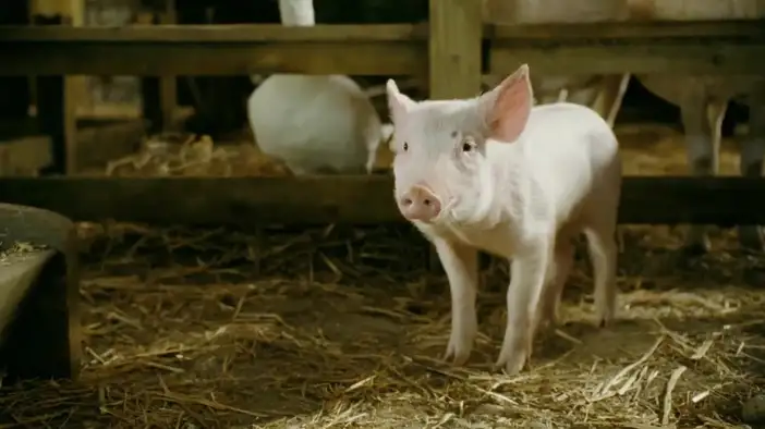 Трейлер (русский язык)