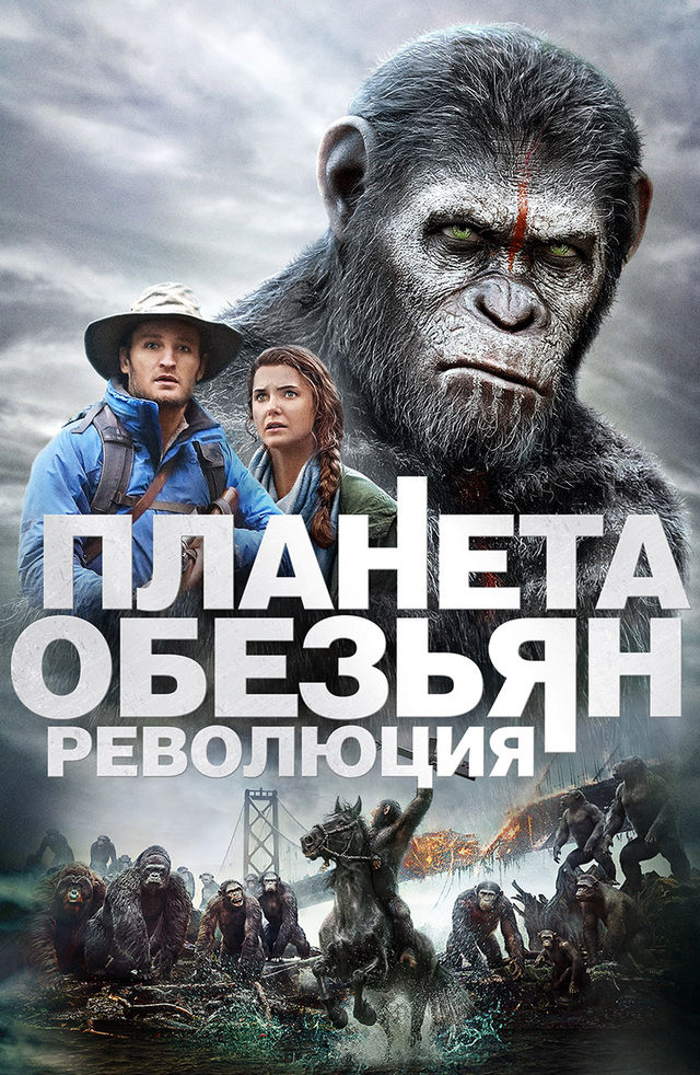 Maymunlar va odamlarning shahvoniy juftligini tomosha qiling