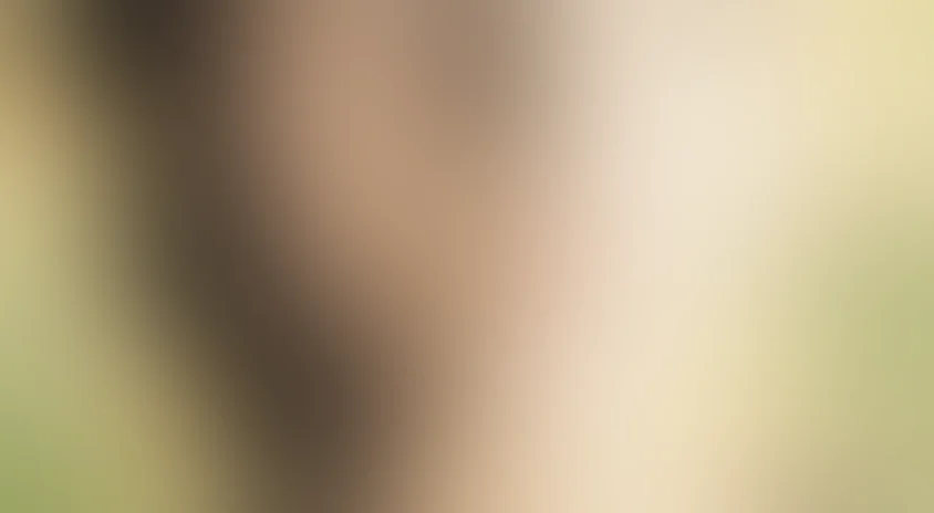 Свободная женщина 2