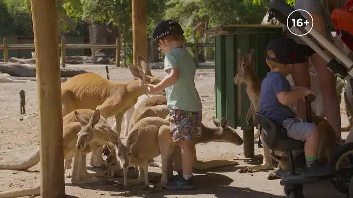 ТВ-ролик (дублированный)
