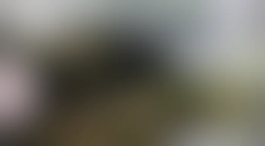 Сорок оттенков грусти