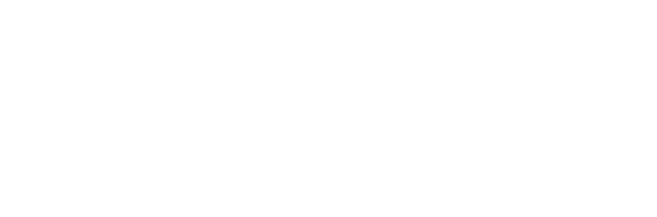Шаранутая работа