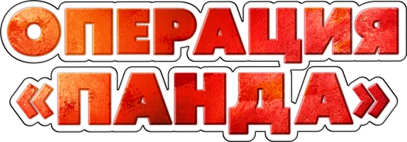 Операция «Панда» (фильм 2024)