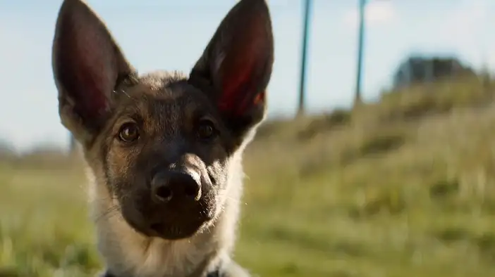 Blu-ray трейлер (английский язык)