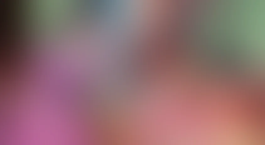 Проделки Софи