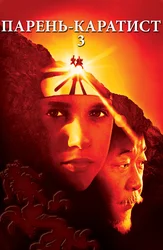 Парень-каратист 3