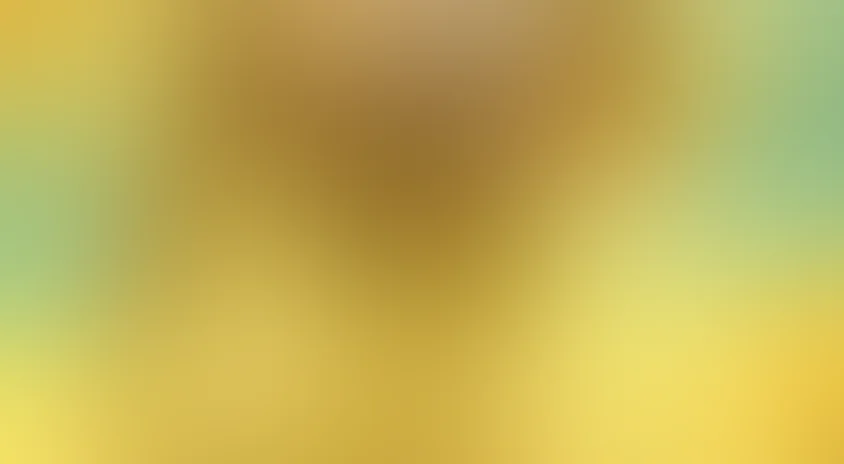 Инглиш-винглиш