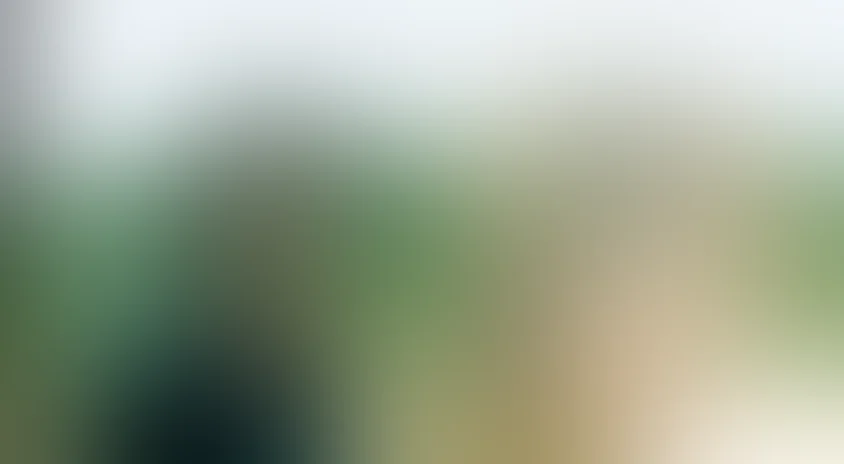 Я хочу видеть