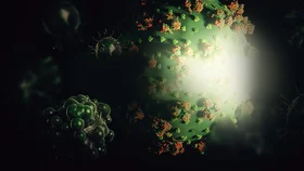 Koronavirus. Bilishingiz kerak bo'lgan hamma narsa