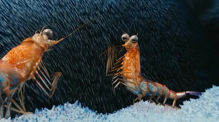 Трейлер (дублированный)