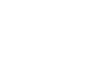 Дорога домой (2019)