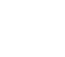 В гостях у Задорнова (шоу 2008)