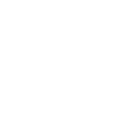 Россия 24