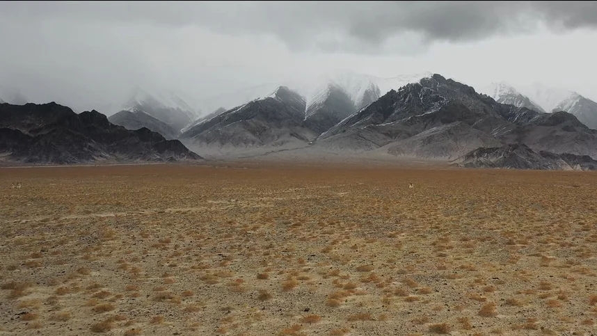 Сила природы