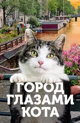 Город глазами кота
