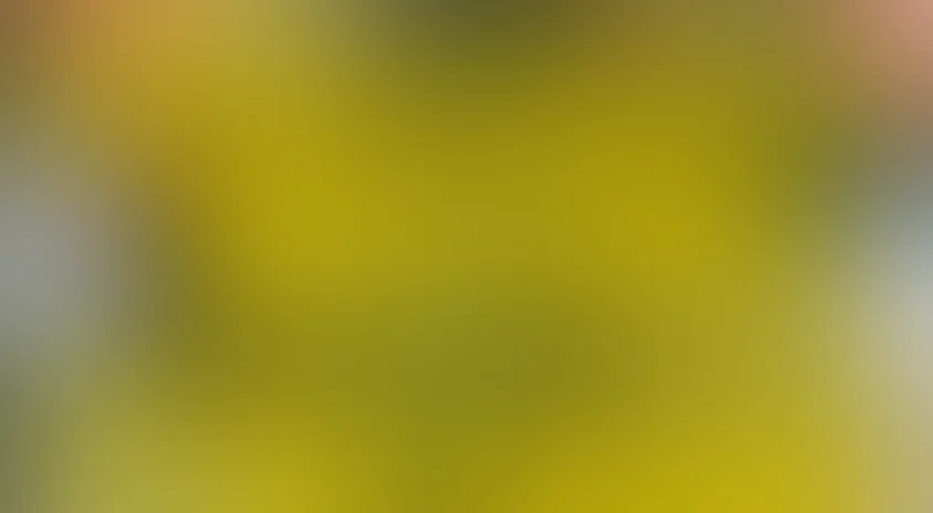 Удивительная жизнь учителей