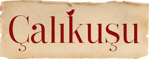 Choliqushi (seriallar 2013) - o‘zbek tilida tarjima