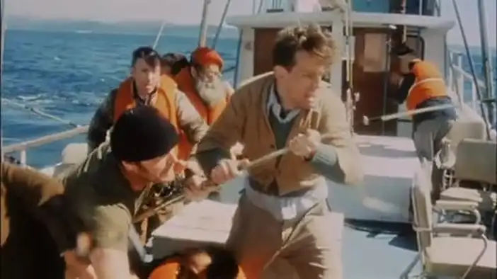 Трейлер (английский язык)