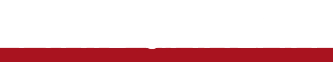 Firibgarlar