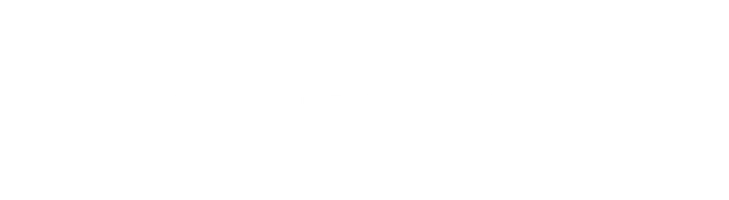 Версия полковника Зорина