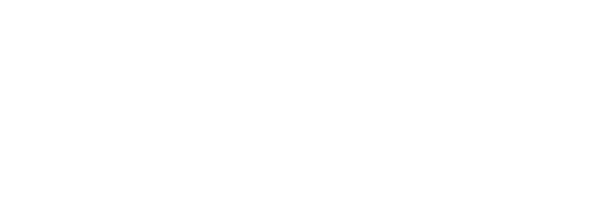 Проект мистера Шина